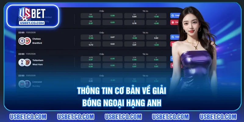 Thông tin cơ bản về giải bóng Ngoại Hạng Anh
